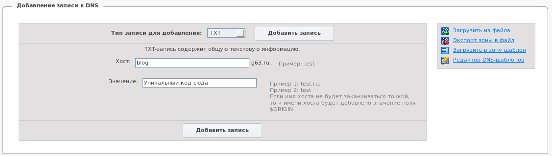 Добавление TXT записи в DNS r01.ru